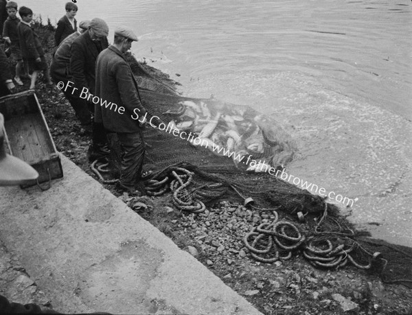 SALMON - NETTING ON THE MOY